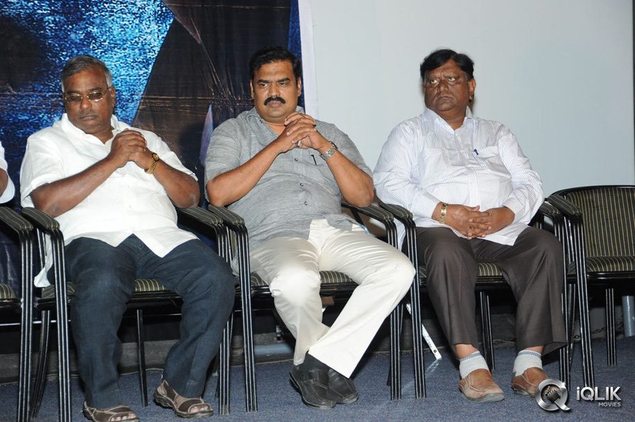 Bachchan-Movie-Platinum-Disc-Function